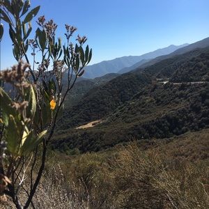 Meet your Posher, Jillian