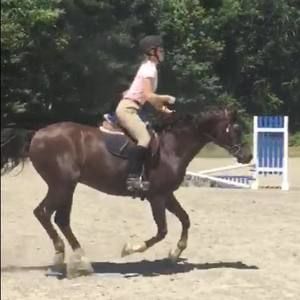 Meet your Posher, Ava