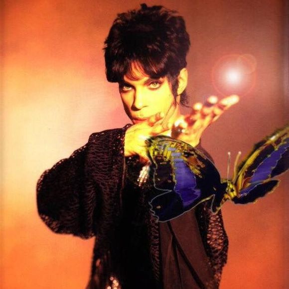 Meet your Posher, Kirsten - Picture 1 of 1