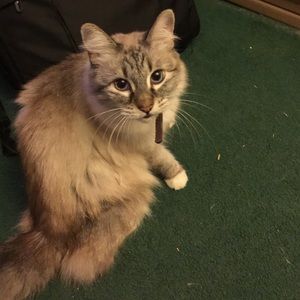 Meet your Posher, Anna