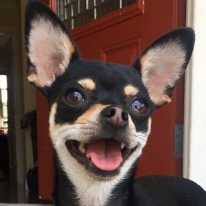 Meet your Posher, Beatriz