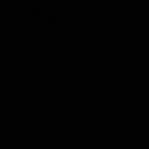 Meet your Posher, Daisy