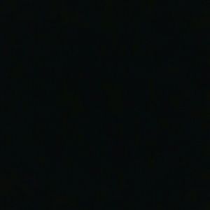 Meet your Posher, Shelia