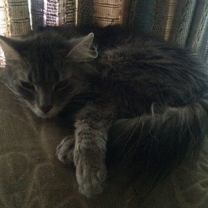 Meet your Posher, Joscelyn