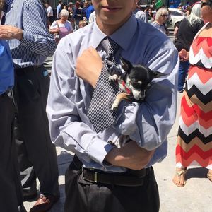 Meet your Posher, Johnny