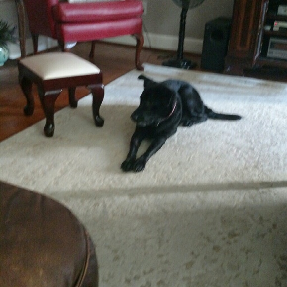 Meet your Posher, Wendi - Picture 1 of 1