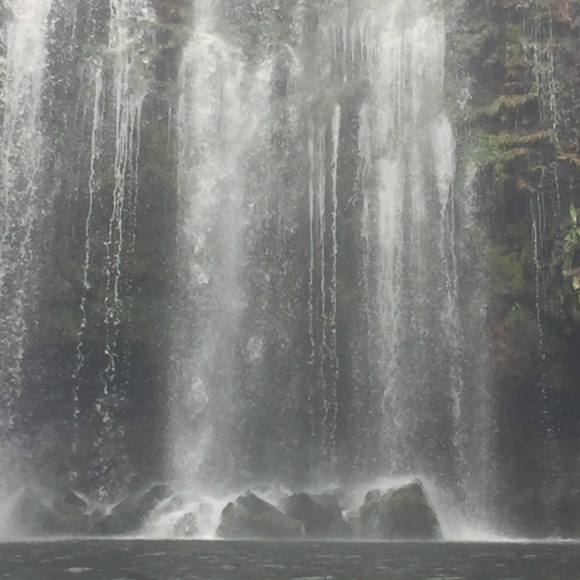 Meet your Posher, Ivis - Picture 1 of 1