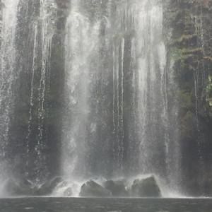 Meet your Posher, Ivis