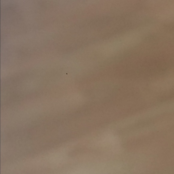 Meet the Posher Other - Meet your Posher, Britney