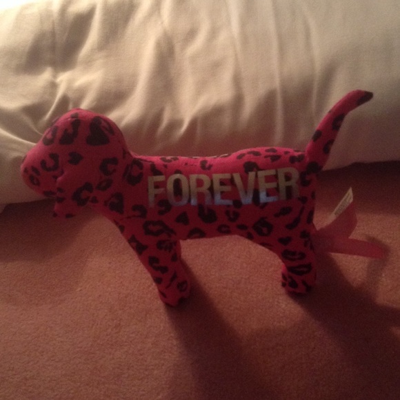 VS DOG