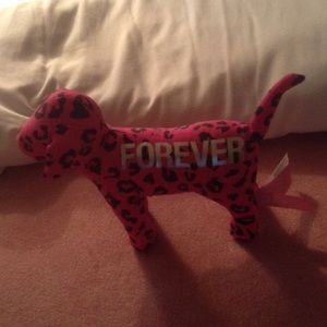 VS DOG