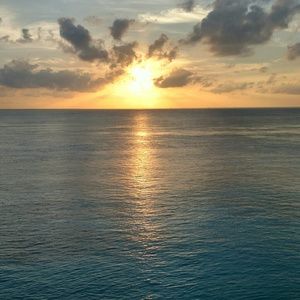 Meet your Posher, Carol