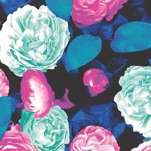 Meet your Posher, Rylee