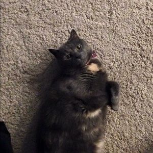 Meet your Posher, Ashley