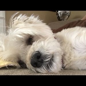 Meet your Posher, Theresa