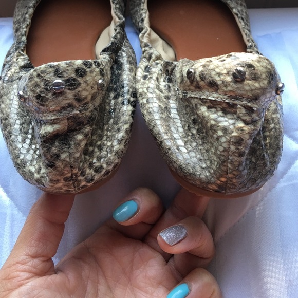 Matt Bernson Flats - Picture 4 of 4