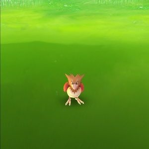 Meet your Posher, Vivian