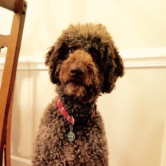 Meet your Posher, Ailis