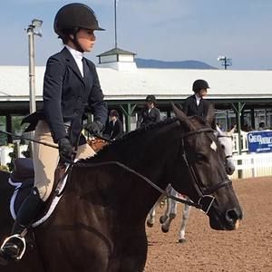 Meet your Posher, Dawn