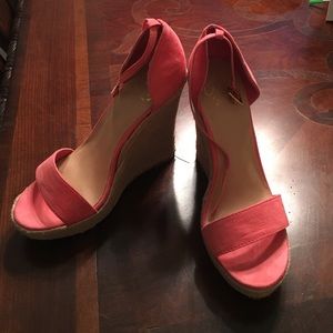 Coral Colin Stuart Wedge