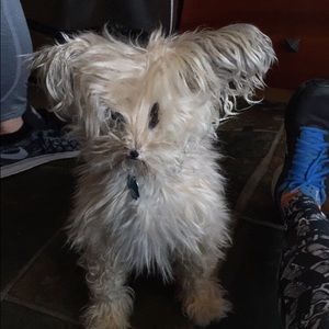 Meet your Posher, Jillian