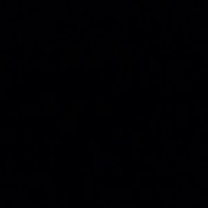 Meet your Posher, Zorrea