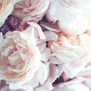 Meet your Posher, Elissa