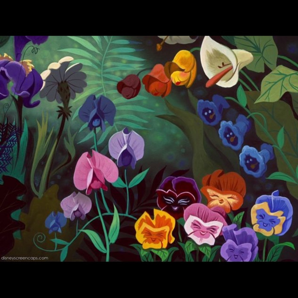 Meet your Posher, Ross