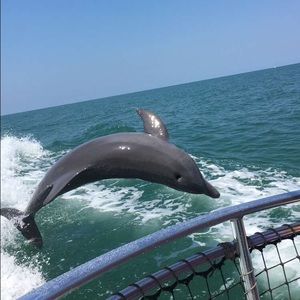 Meet your Posher, Tess