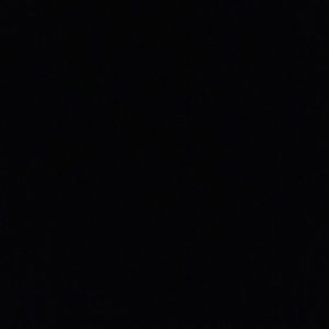 Meet your Posher, Izzy