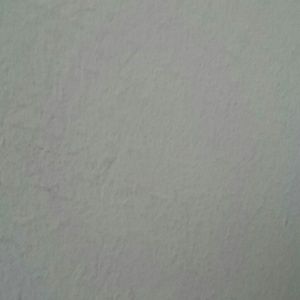 Meet your Posher, Joy