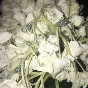 Meet your Posher, Kathryn