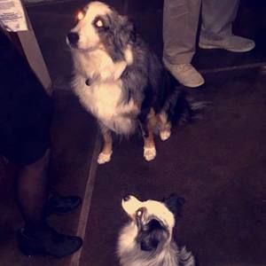 Meet your Posher, Melanie