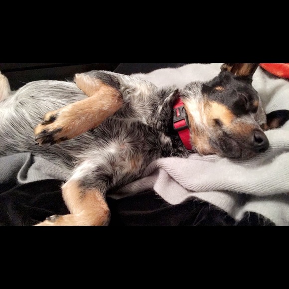 Meet your Posher, Nicole - Picture 2 of 8