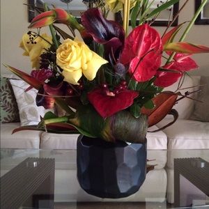 Meet your Posher, Aminah