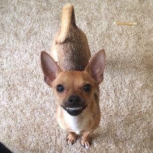 Meet your Posher, Brooke