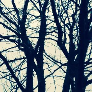 Meet your Posher, Destiny