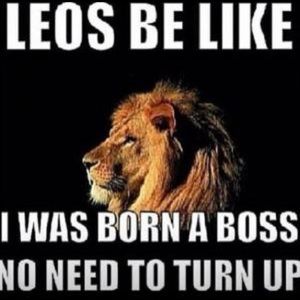 Meet your Posher, Kandi