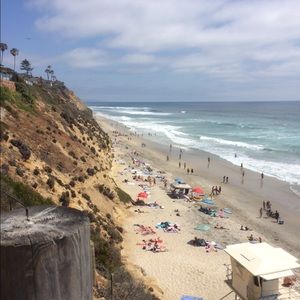 Meet your Posher, Molly