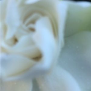 Meet your Posher, Pam