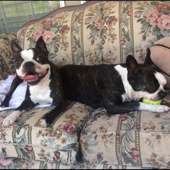 Meet your Posher, Madison - Picture 5 of 10