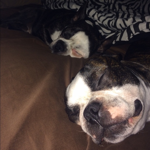 Meet your Posher, Madison - Picture 6 of 10