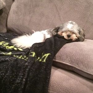 Meet your Posher, Abby