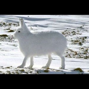 Meet your Posher, Reiko