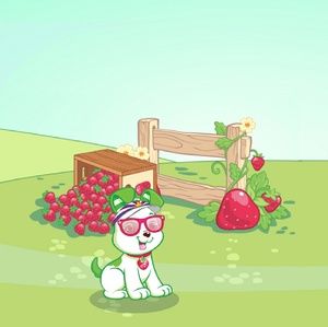 Meet your Posher, Grace