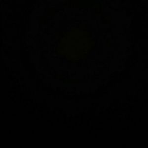 Meet your Posher, Jaylen