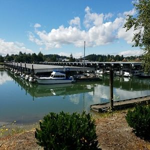 Meet your Posher, Liz