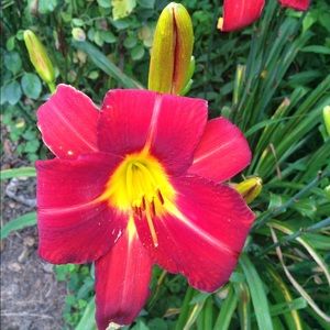 Meet your Posher, Brandie