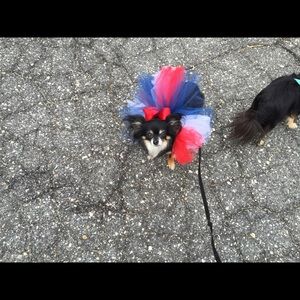 Meet your Posher, Carole