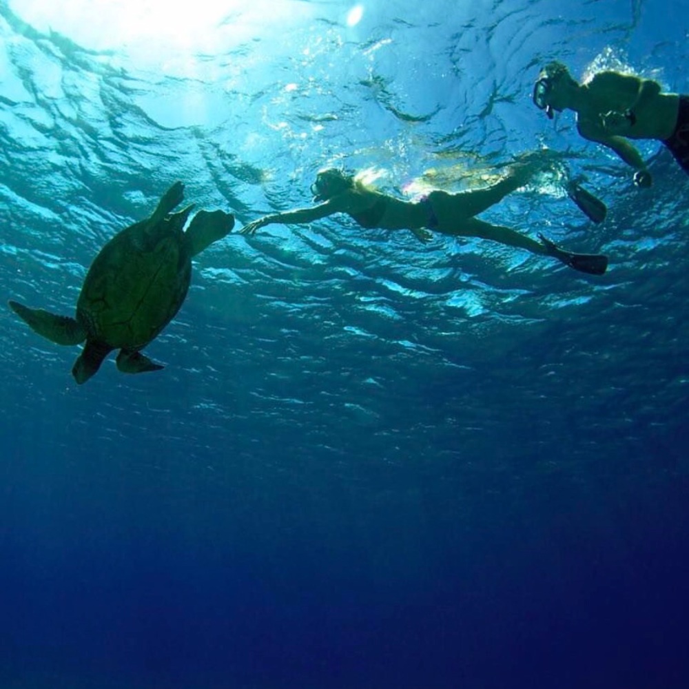 Meet your Posher Mackenzie :)